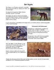 Kojote-Steckbrief.pdf